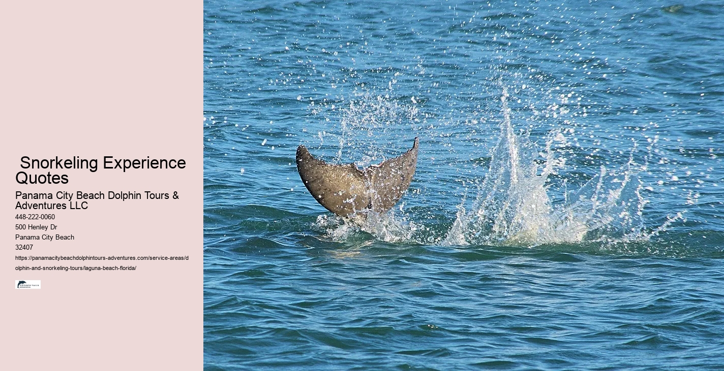 Can participants expect to see dolphins on every tour in Laguna Beach