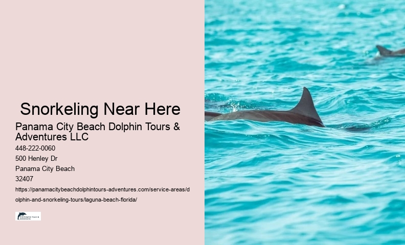  Snorkeling Near Here