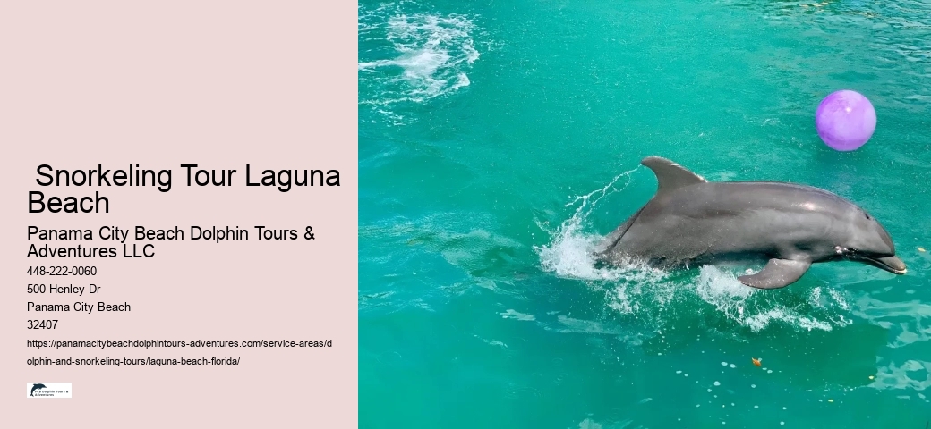 Snorkeling Excursions Near Me
