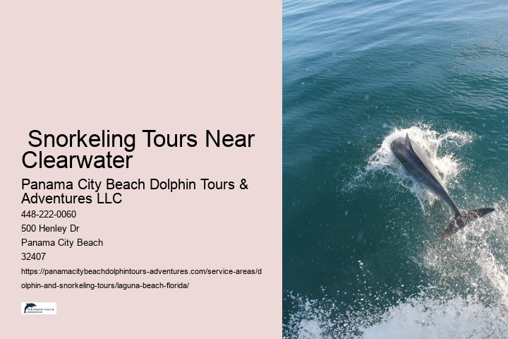  Snorkeling Tours Near Clearwater