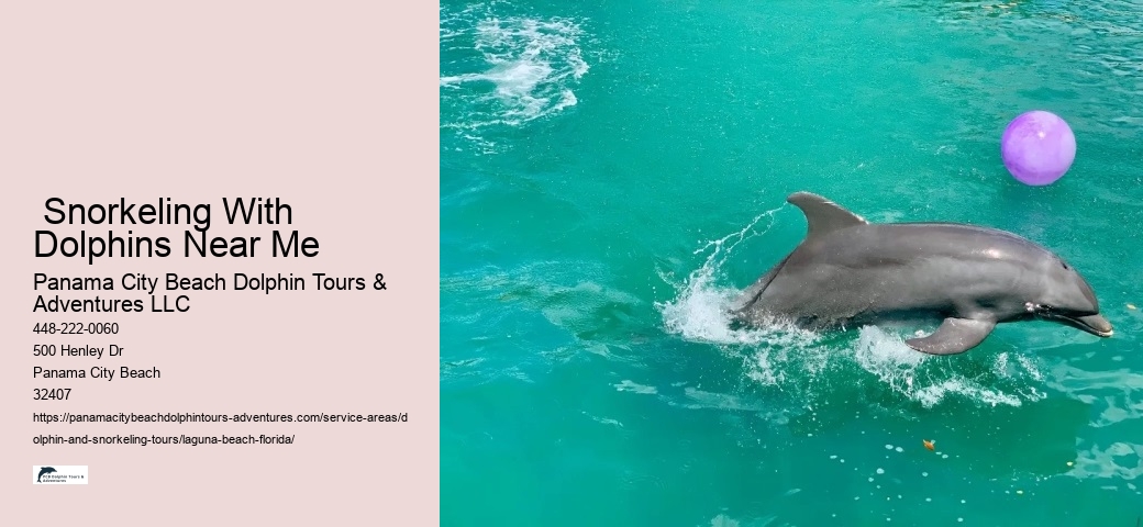  Snorkeling With Dolphins Near Me