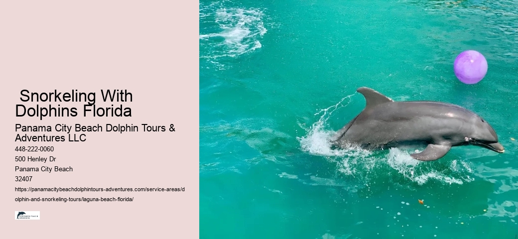 Dolphin And Snorkeling Tours In Panama City Beach