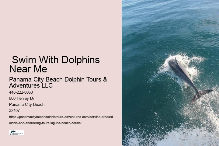  Swim With Dolphins Near Me