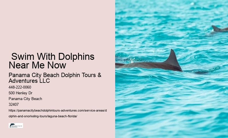  Swim With Dolphins Near Me Now