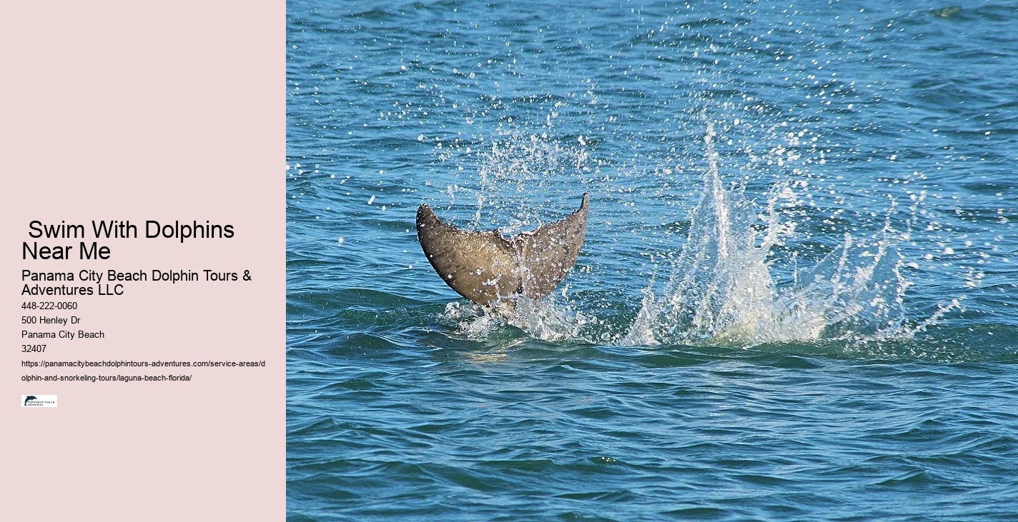 Jet Ski Dolphin