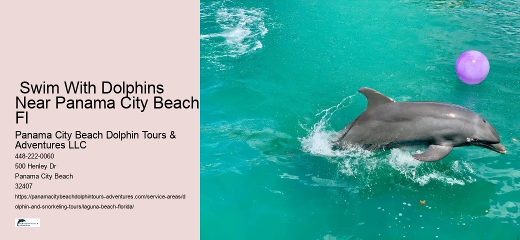 Dolphin Sightings