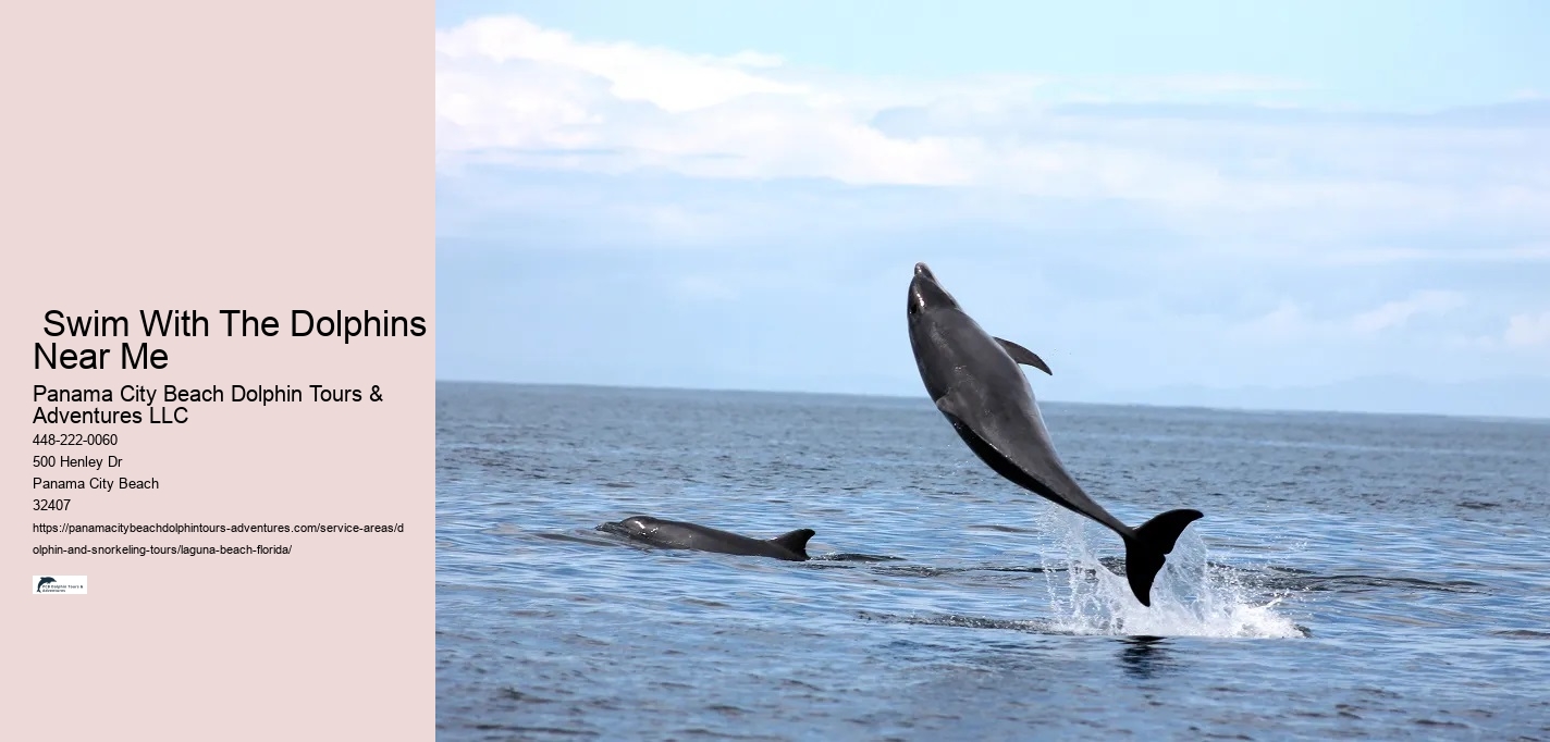  Swim With The Dolphins Near Me