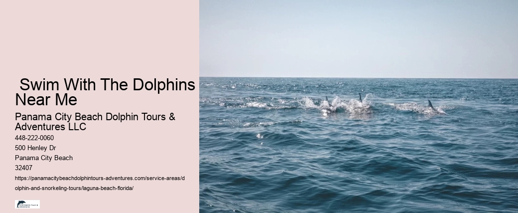 Dolphin & Sunset Cruise Aboard The Sunventure