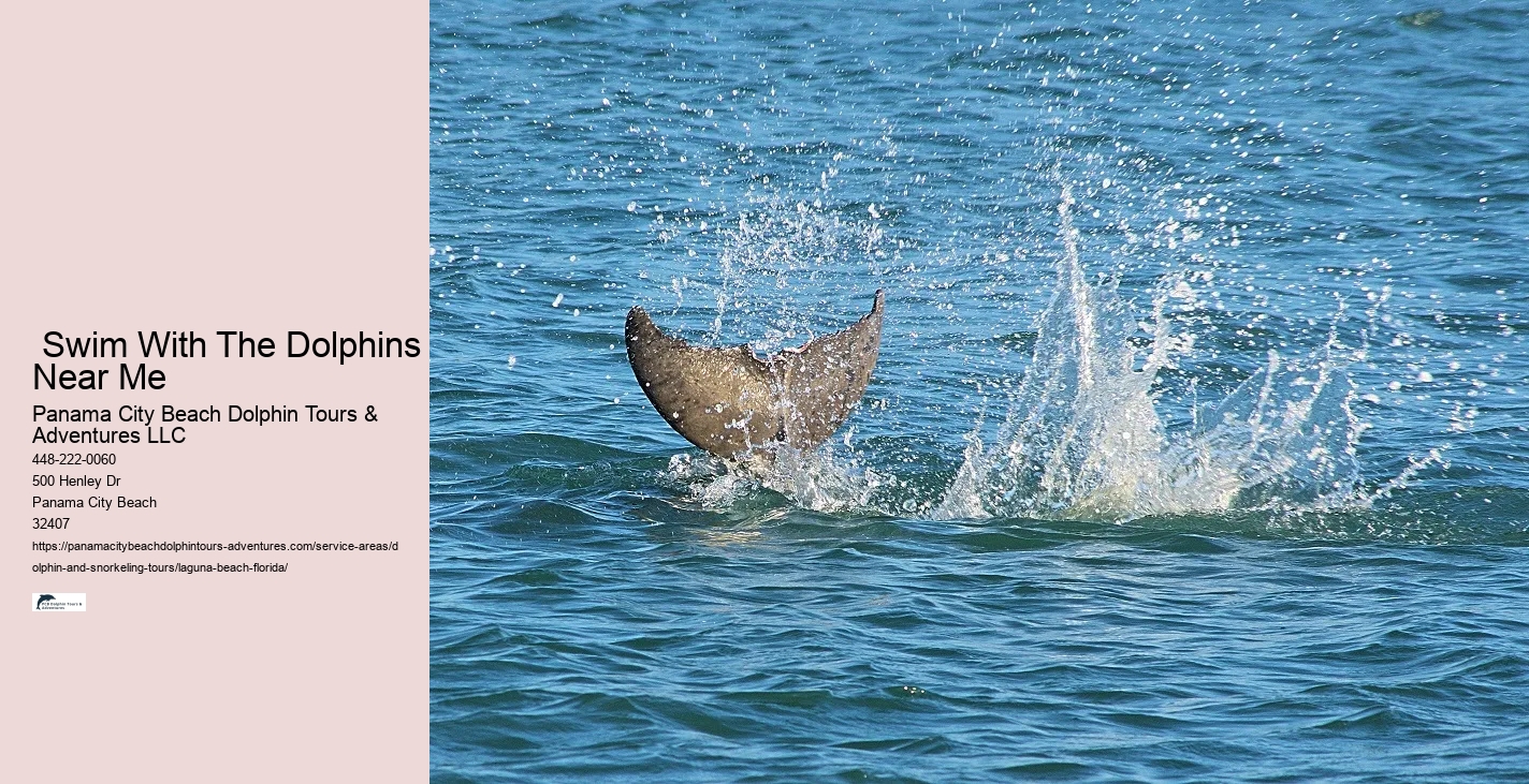 Dolphin Watch Boat Tours Near Me
