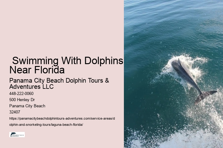  Swimming With Dolphins Near Florida