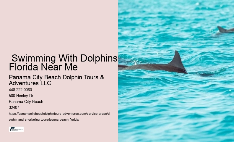  Swimming With Dolphins Florida Near Me