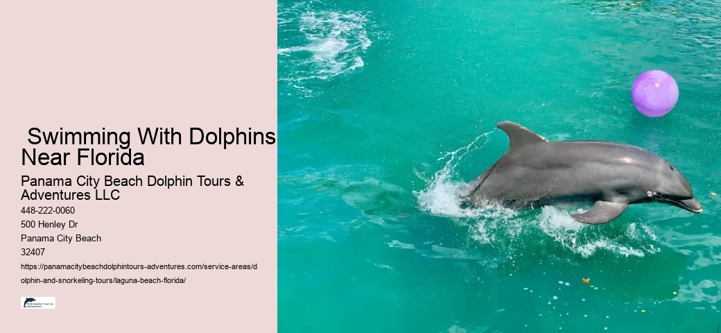 Snorkeling Boat Tour