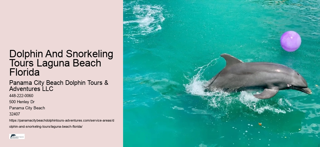Snorkeling And Dolphin Tour
